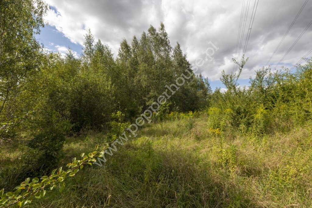 , pomorskie, Pępowo, Łąkowa - listing photo no. 5