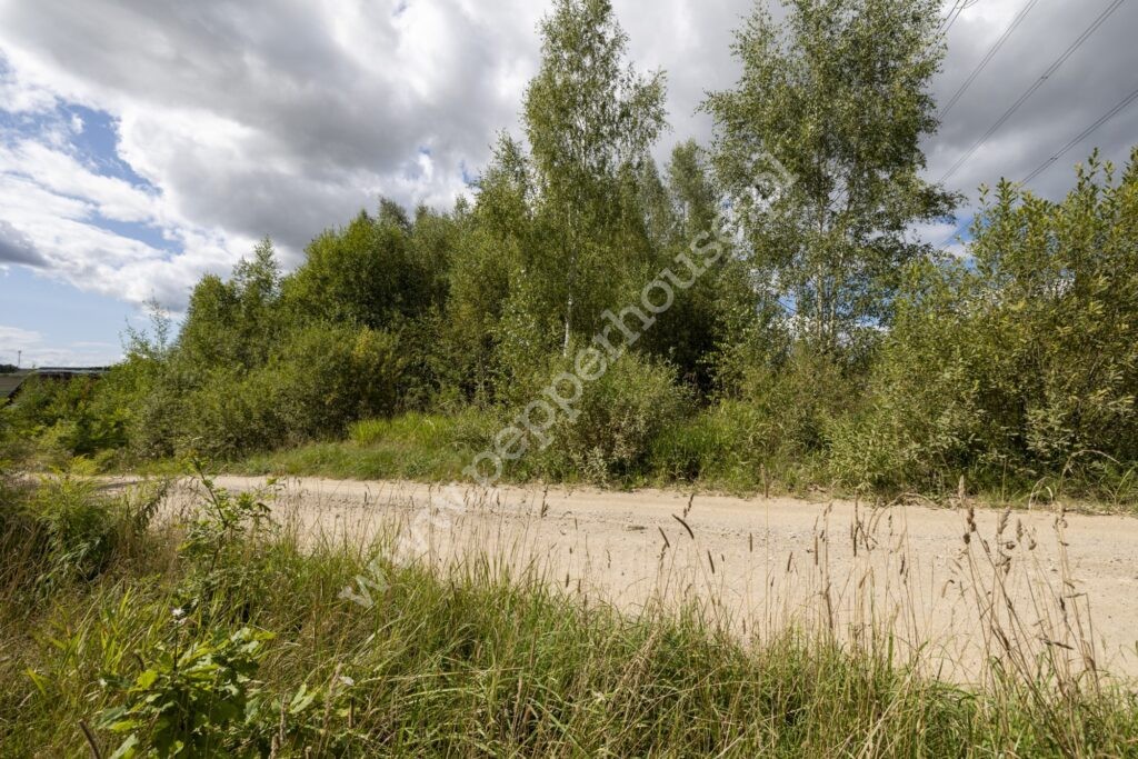 , pomorskie, Pępowo, Łąkowa - listing photo no. 6