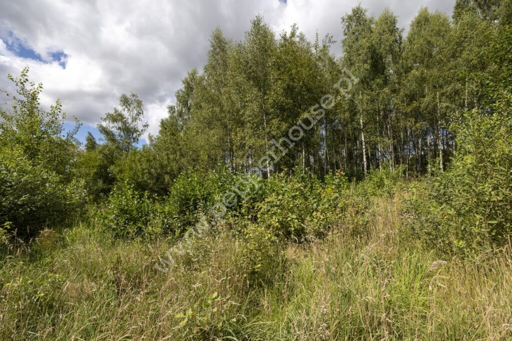 , pomorskie, Pępowo, Łąkowa - listing photo no. 7