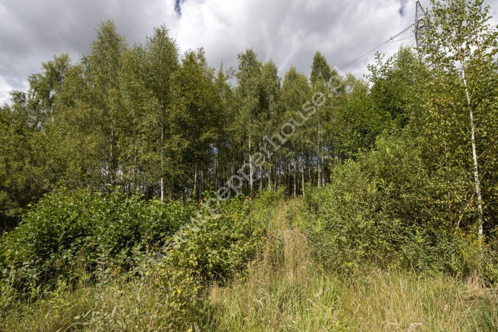 , pomorskie, Pępowo, Łąkowa - listing photo no. 8