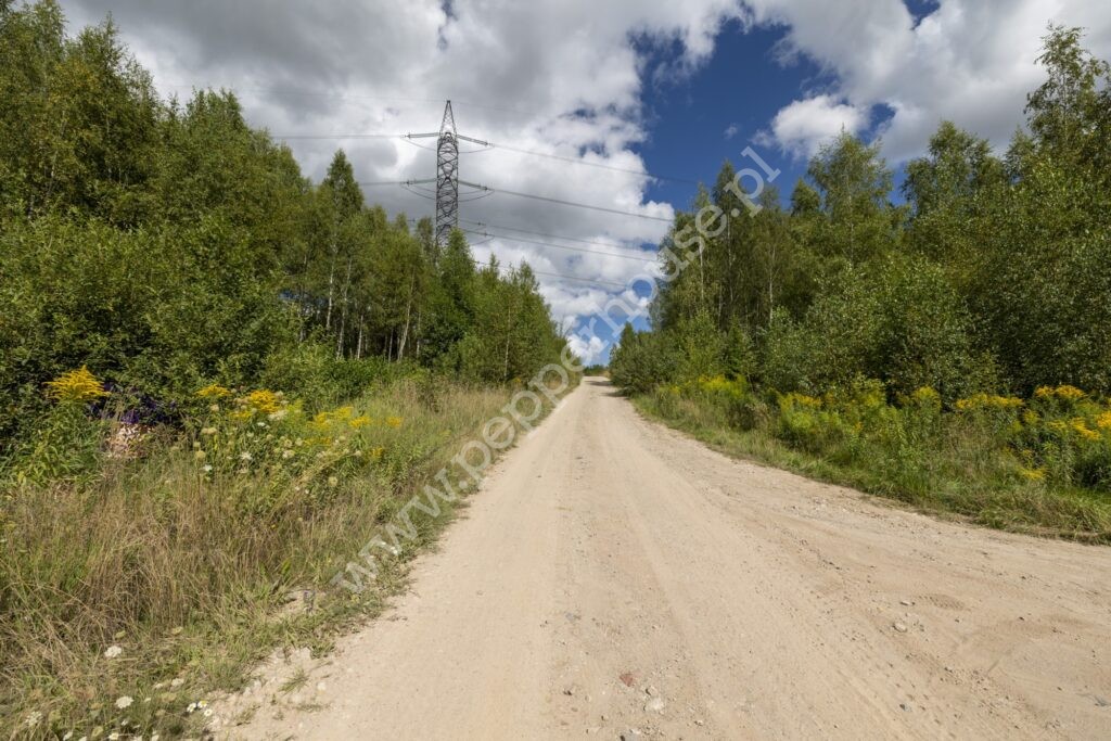 , pomorskie, Pępowo, Łąkowa - listing photo no. 9