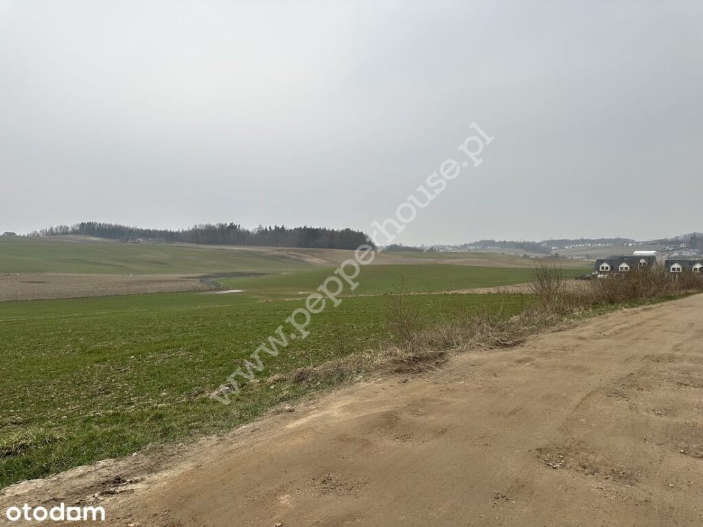 Działka na sprzedaż, pomorskie, Czaple - zdjęcie ofertowe nr 2