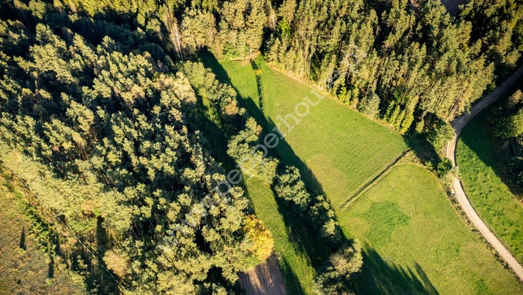 Działka na sprzedaż, pomorskie, Rąb, Spokojna - zdjęcie ofertowe nr 5