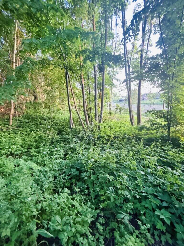 Działka na sprzedaż, pomorskie, Gołębiewo Wielkie, Konwaliowa - zdjęcie ofertowe nr 2