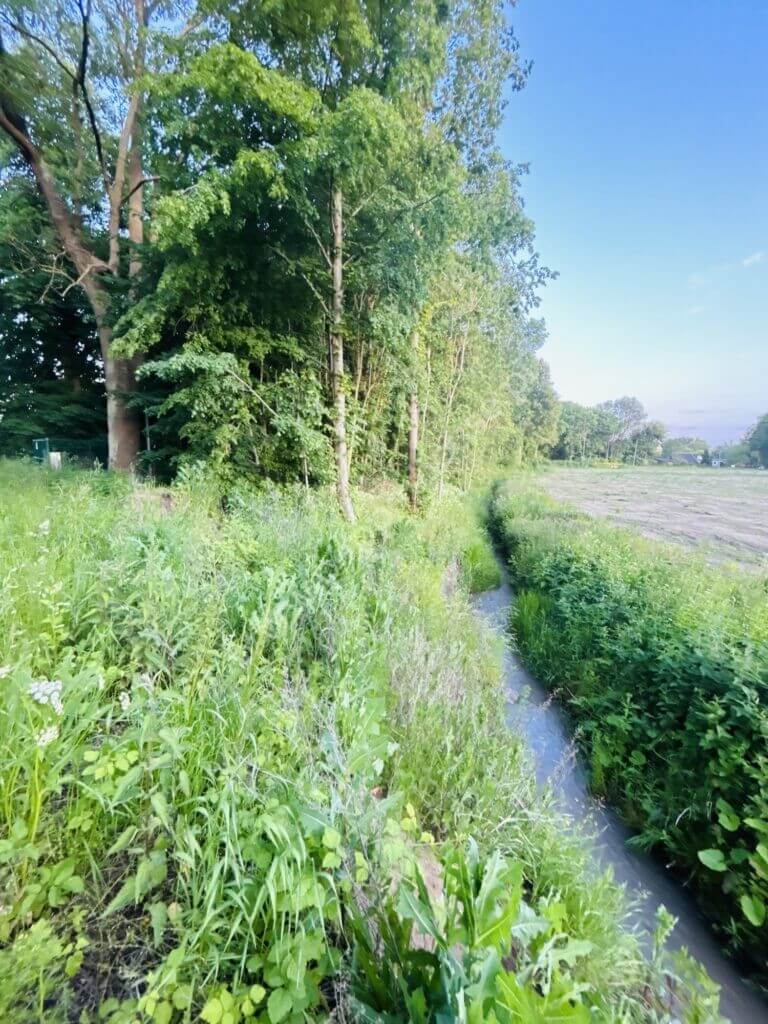 Działka na sprzedaż, pomorskie, Gołębiewo Wielkie, Konwaliowa - zdjęcie ofertowe nr 1
