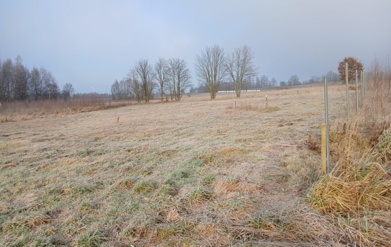 Działka na sprzedaż, pomorskie, Kolonia, Słoneczna