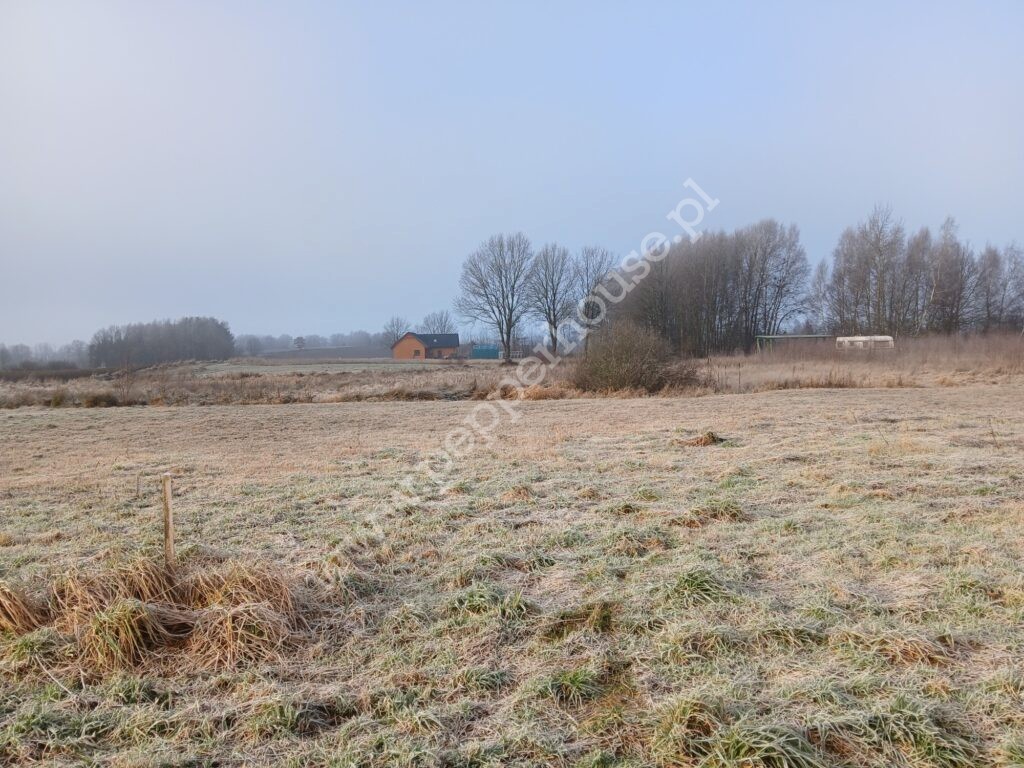 Działka na sprzedaż, pomorskie, Kolonia, Słoneczna - zdjęcie ofertowe nr 2