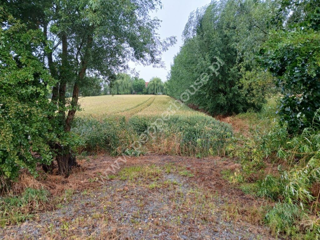 Działka na sprzedaż, pomorskie, Ostaszewo, Długa - zdjęcie ofertowe nr 2