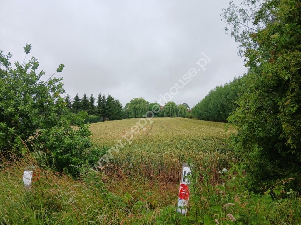 Działka na sprzedaż, pomorskie, Ostaszewo, Długa - zdjęcie ofertowe nr 2