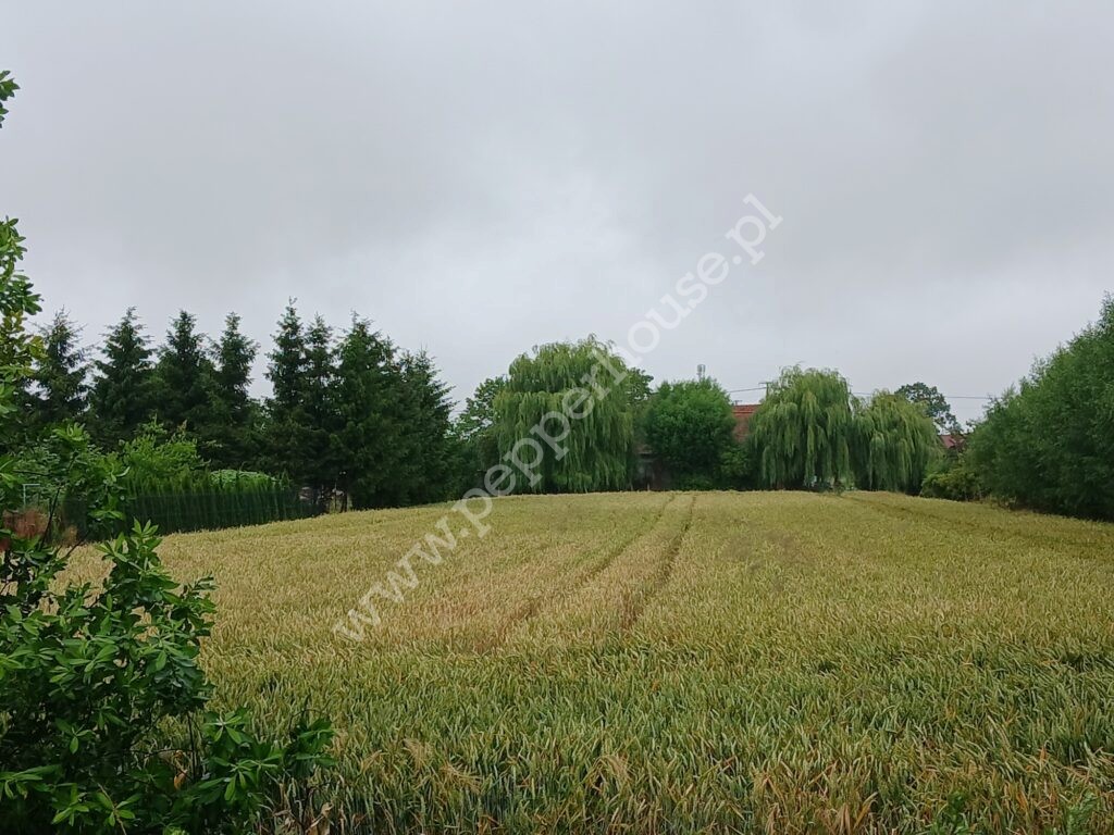 Działka na sprzedaż, pomorskie, Ostaszewo, Długa - zdjęcie ofertowe nr 1