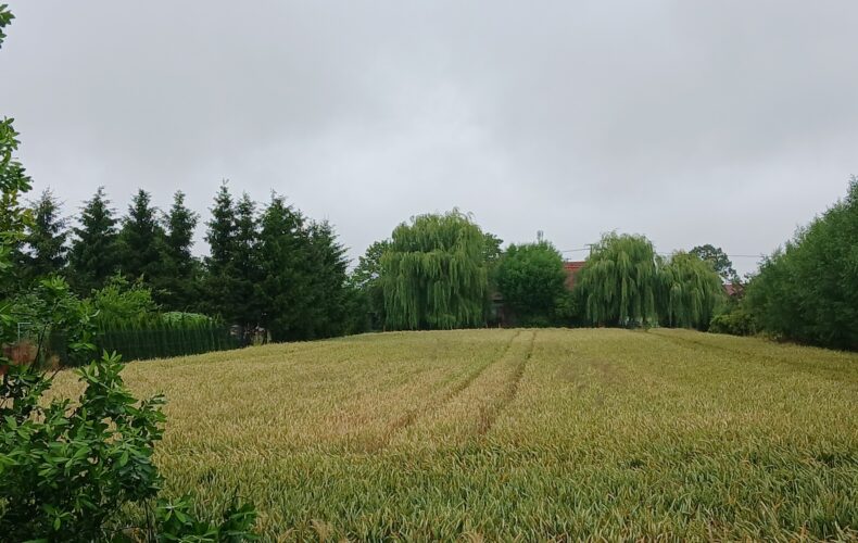 Działka na sprzedaż, pomorskie, Ostaszewo, Długa