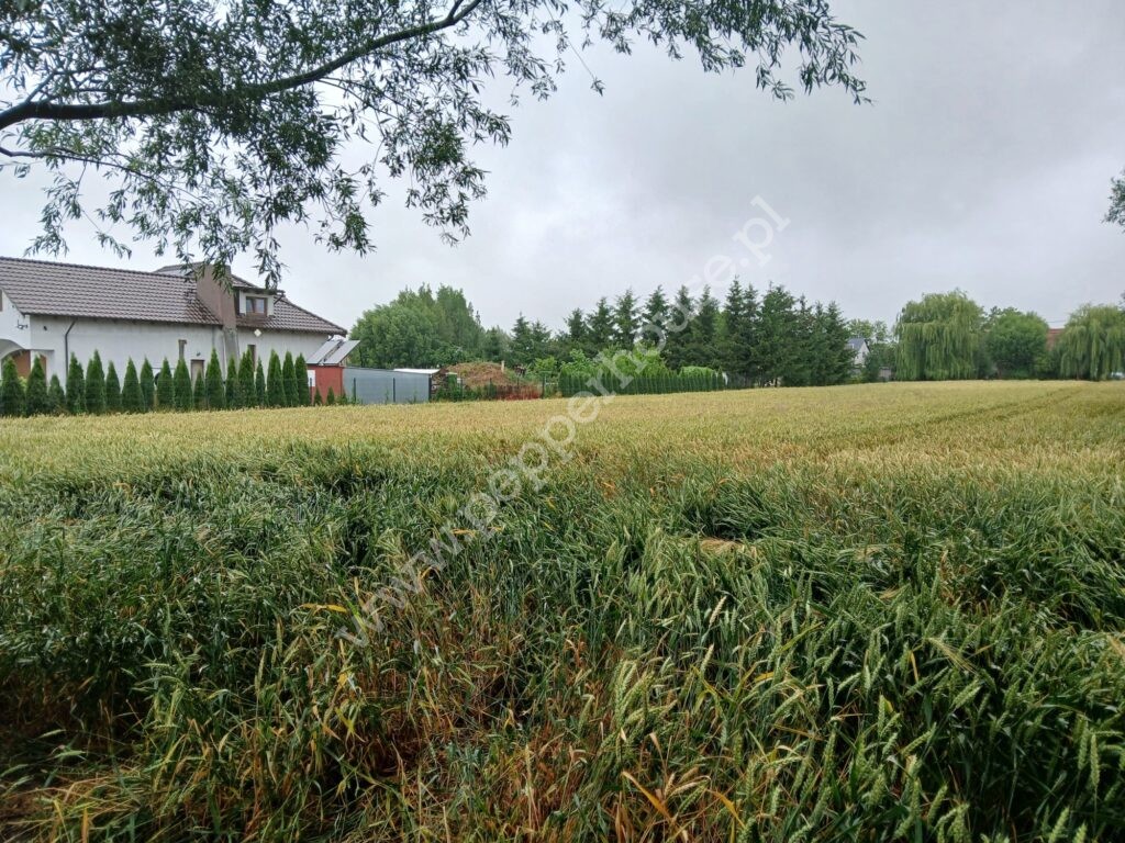 Działka na sprzedaż, pomorskie, Ostaszewo, Długa - zdjęcie ofertowe nr 4