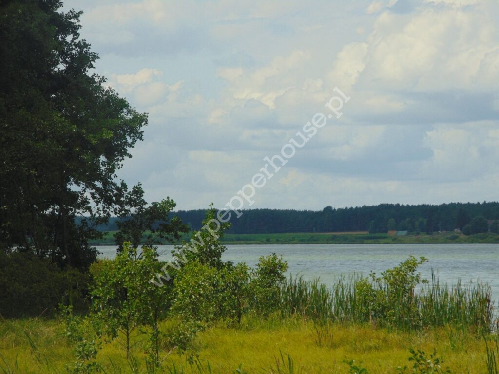 Działka na sprzedaż, pomorskie, Konarzyny - zdjęcie ofertowe nr 1