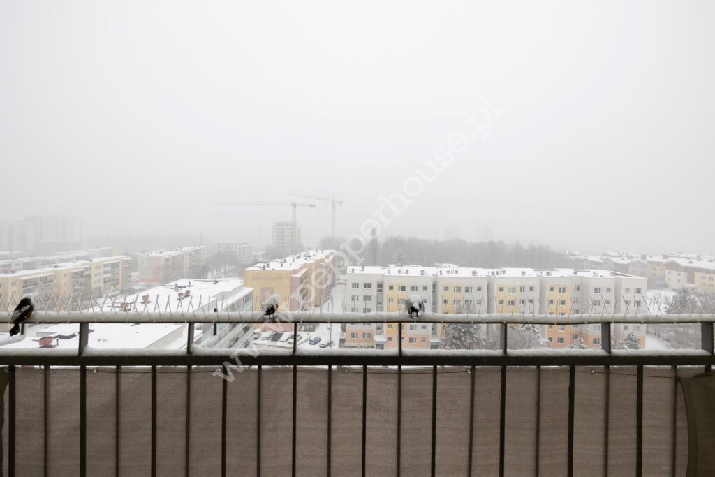 Mieszkanie na sprzedaż, Gdańsk, Morena, Orańska - zdjęcie ofertowe nr 13