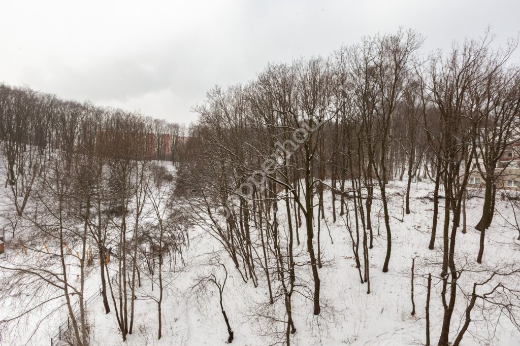 Mieszkanie na sprzedaż, Gdynia, Pogórze, Żeliwna - zdjęcie ofertowe nr 4