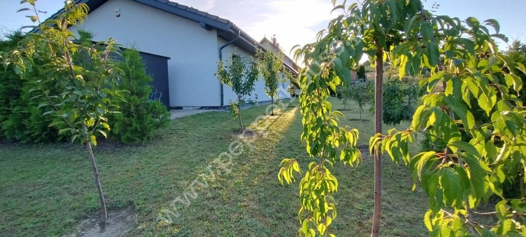 , pomorskie, Żukczyn - listing photo no. 11
