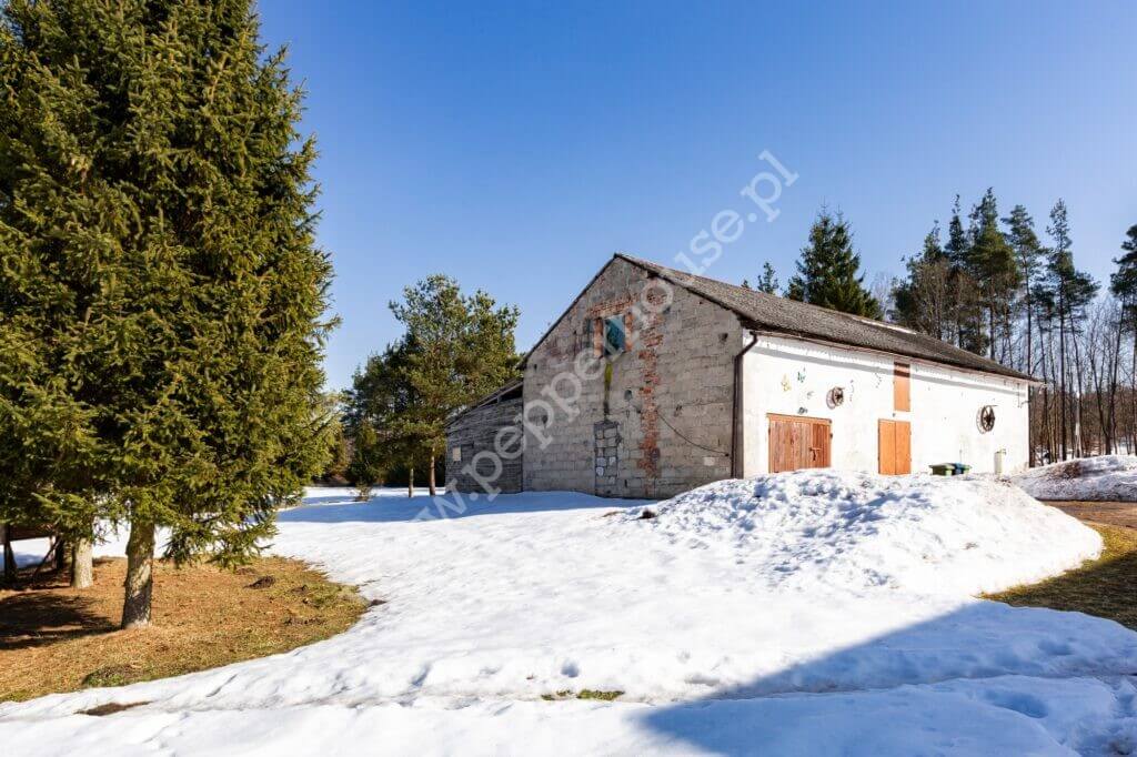 Dom na sprzedaż, pomorskie, Amalka - zdjęcie ofertowe nr 5