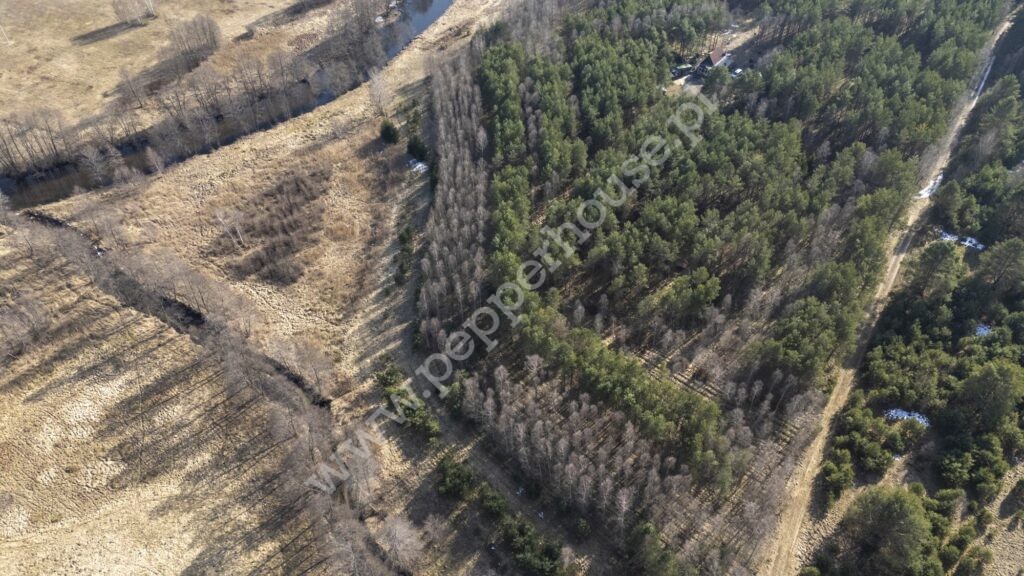 , pomorskie, Zimne Zdroje - listing photo no. 15
