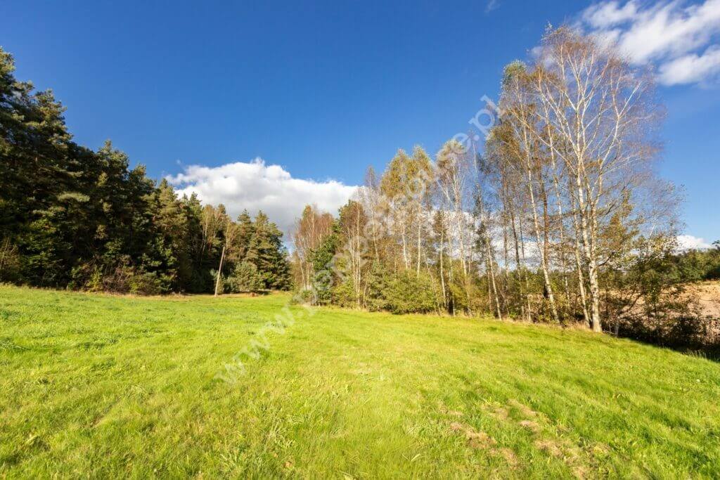 Działka na sprzedaż, Rąb, Trzy Rzeki, Jarzębinowa - zdjęcie ofertowe nr 4