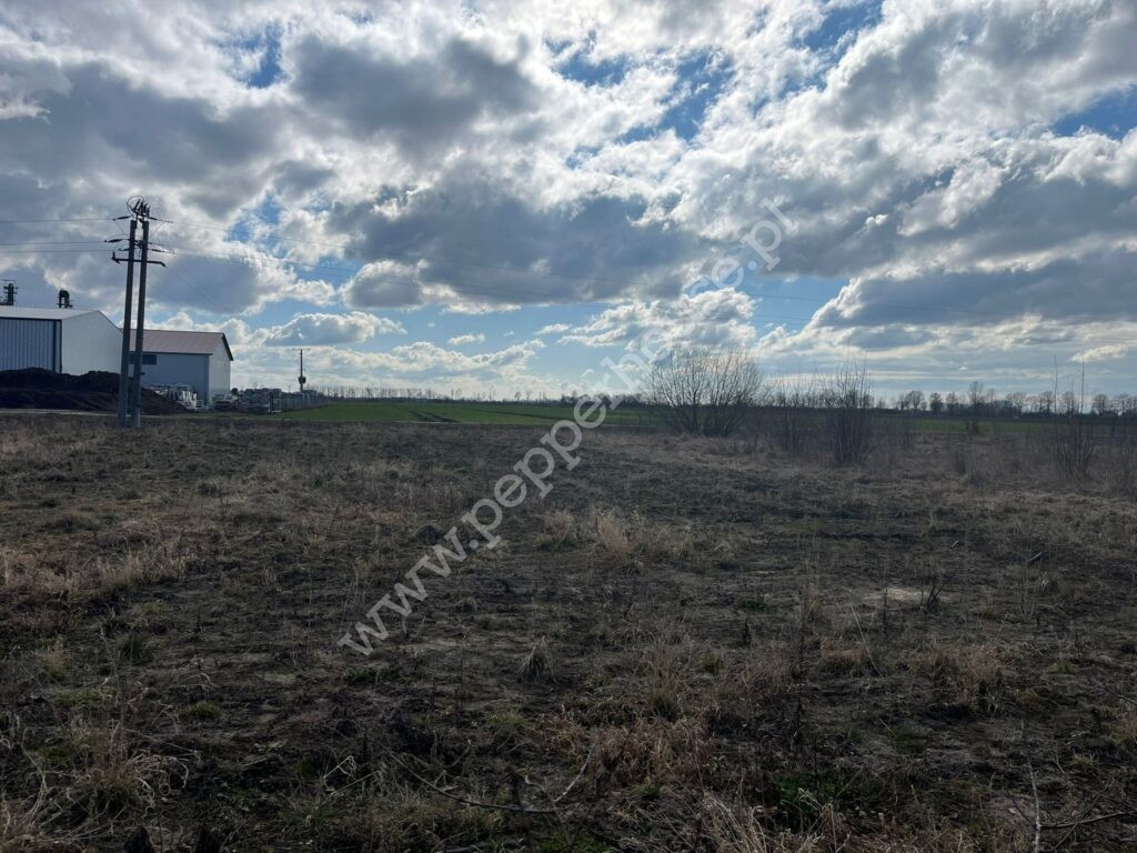 , pomorskie, Cedry Wielkie, Adama Mickiewicza - listing photo no. 6