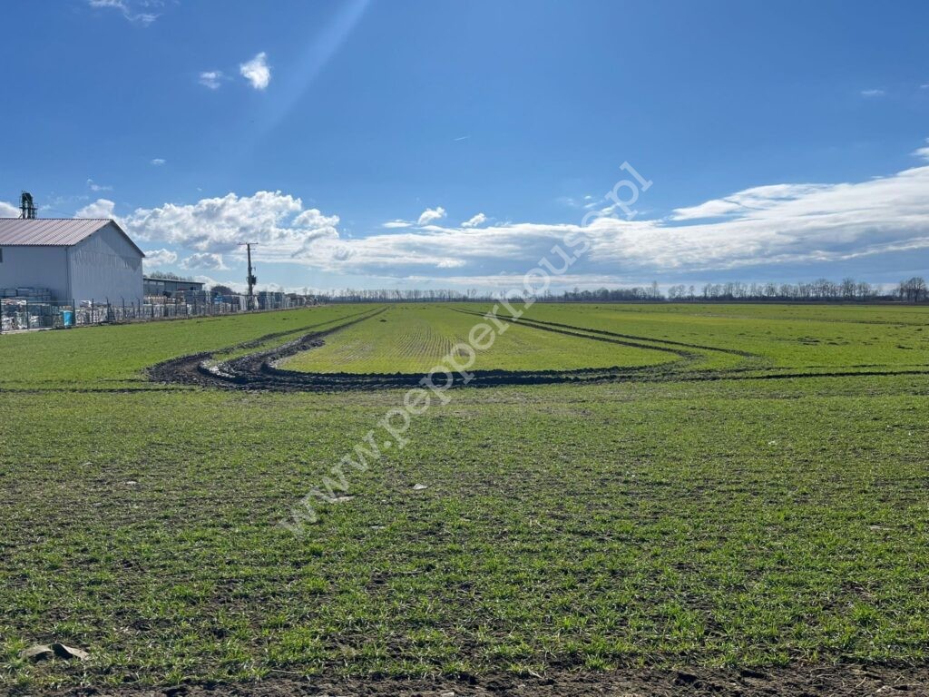 , pomorskie, Cedry Wielkie, Adama Mickiewicza - listing photo no. 7