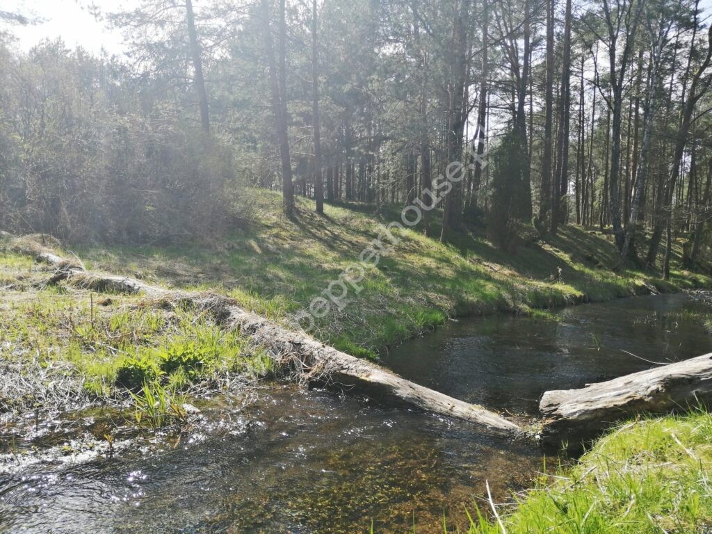, pomorskie, Zimne Zdroje - listing photo no. 3