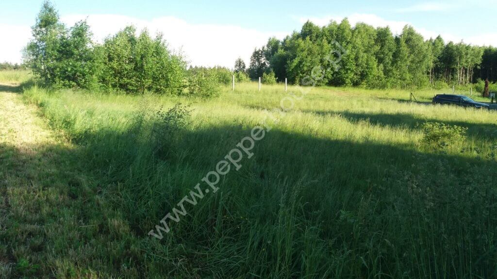Działka na sprzedaż, pomorskie, Grabowska Huta - zdjęcie ofertowe nr 6
