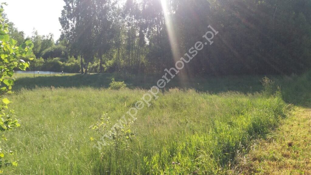 Działka na sprzedaż, pomorskie, Grabowska Huta - zdjęcie ofertowe nr 7