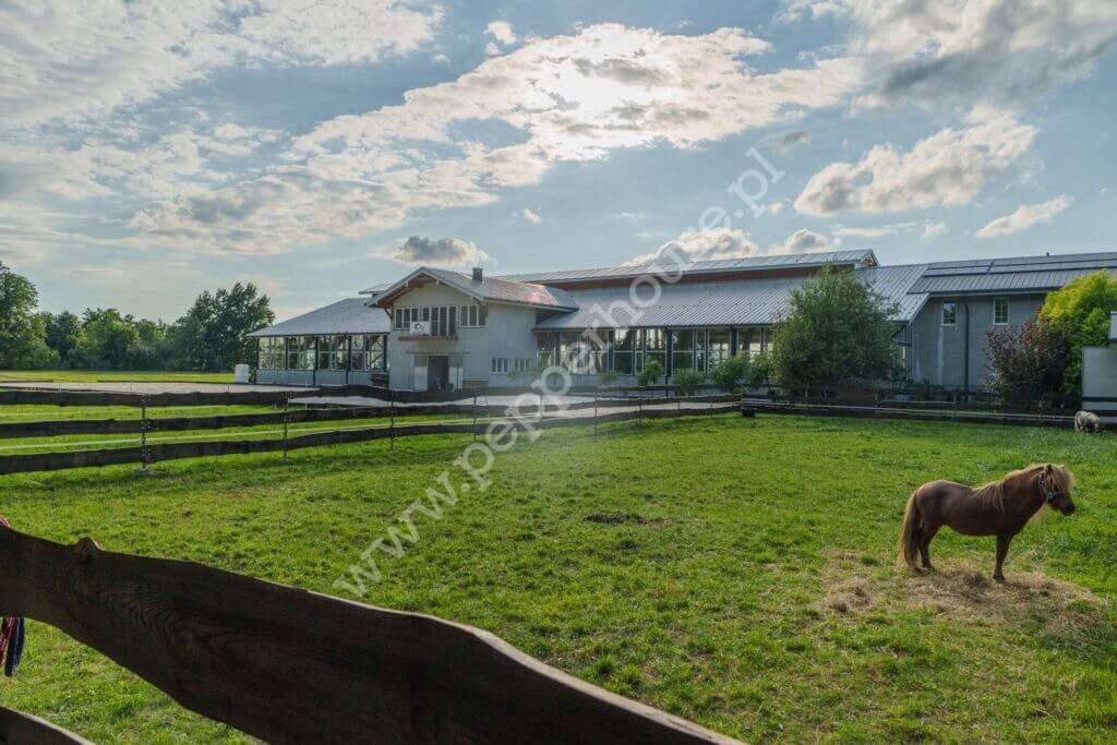 , mazowieckie, Krubki-Górki - listing photo no. 25