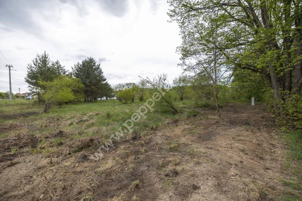 , pomorskie, Zaskoczyn - listing photo no. 8