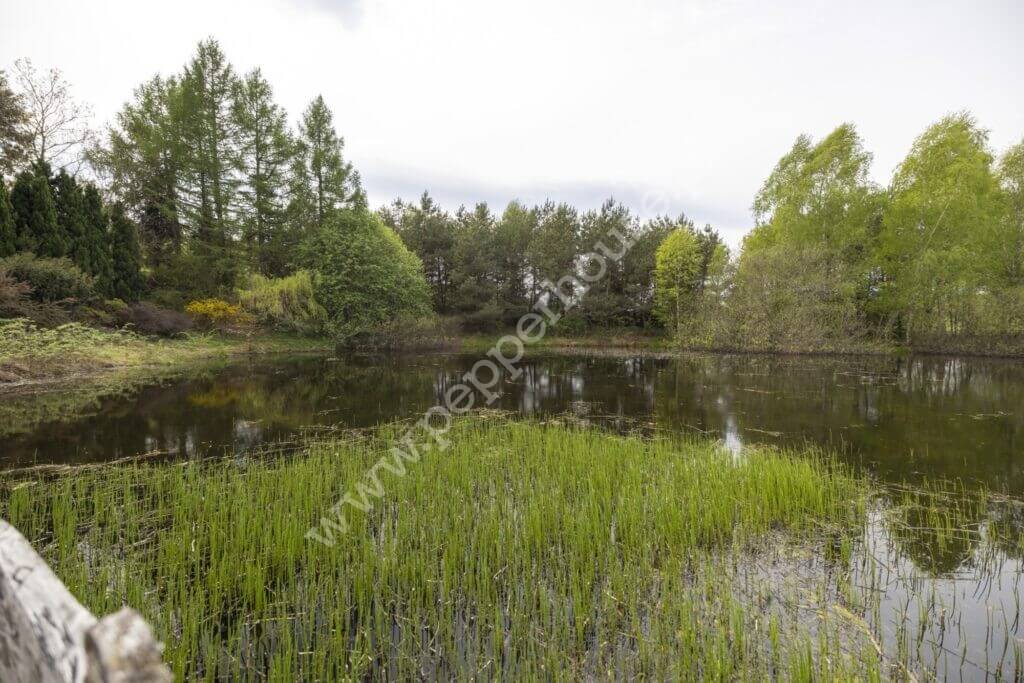, pomorskie, Kaplica - listing photo no. 13