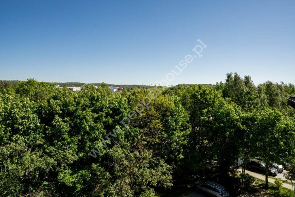 Mieszkanie na sprzedaż, Gdynia, Dąbrowa, Rdestowa - zdjęcie ofertowe nr 13