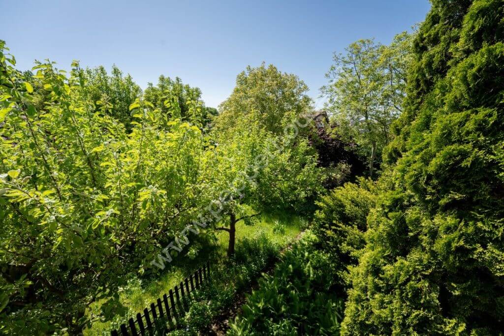 Dom na sprzedaż, pomorskie, Gdańsk, Siedlce - zdjęcie ofertowe nr 4