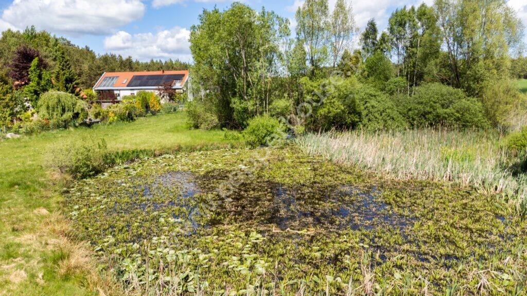 Działka na sprzedaż, pomorskie, Bieszkowice, Klonowa - zdjęcie ofertowe nr 6