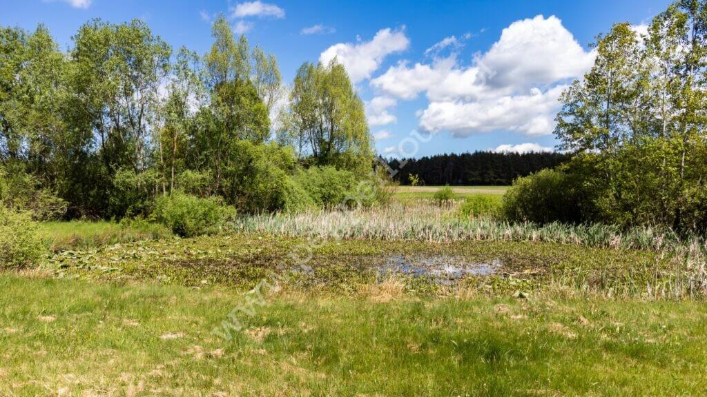 Działka na sprzedaż, pomorskie, Bieszkowice, Klonowa - zdjęcie ofertowe nr 13
