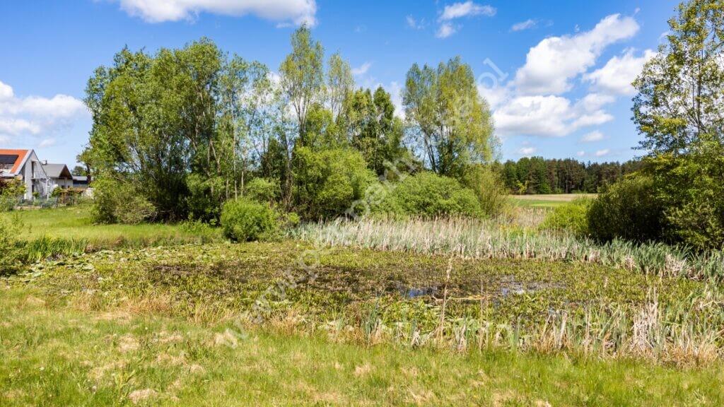 Działka na sprzedaż, pomorskie, Bieszkowice, Klonowa - zdjęcie ofertowe nr 10