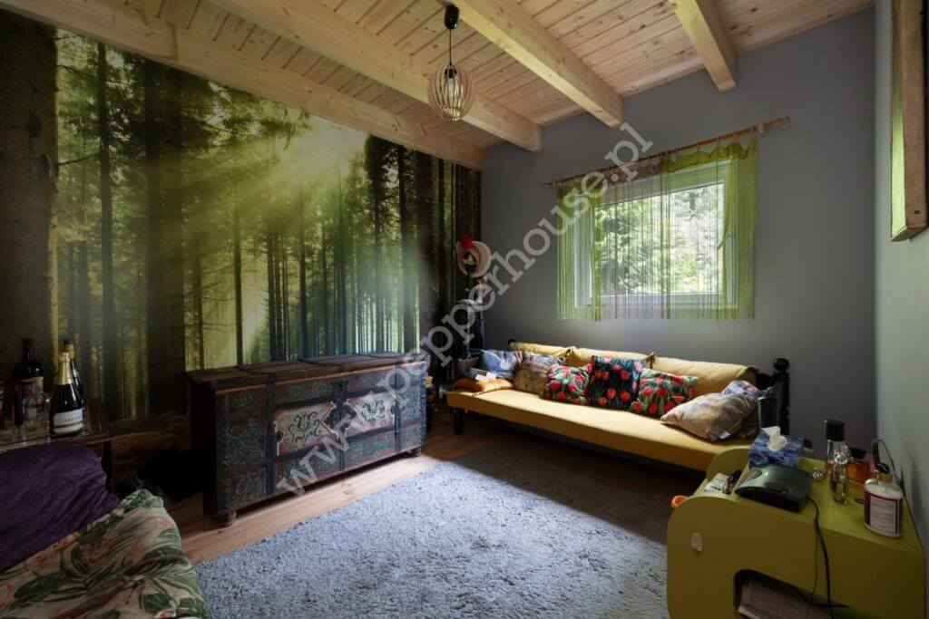 Dom na sprzedaż, pomorskie, Borkowo, Kartuska - zdjęcie ofertowe nr 6