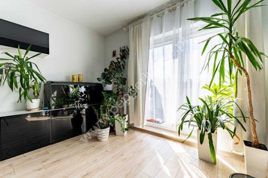 Mieszkanie na sprzedaż, Gdańsk, Morena, Myśliwska - zdjęcie ofertowe nr 20