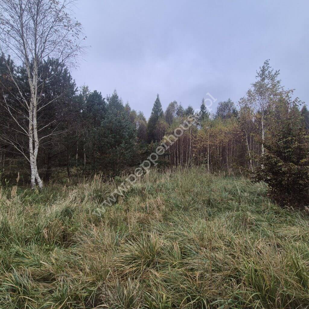 Działka na sprzedaż, pomorskie, Domatówko, Sosnowa - zdjęcie ofertowe nr 3