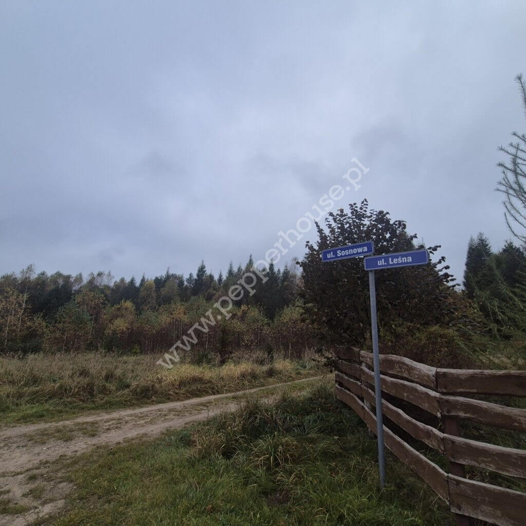 Działka na sprzedaż, pomorskie, Domatówko, Sosnowa - zdjęcie ofertowe nr 5