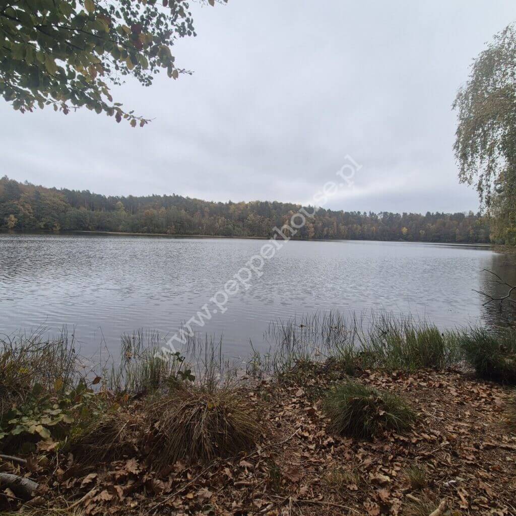 Działka na sprzedaż, pomorskie, Puck - zdjęcie ofertowe nr 4