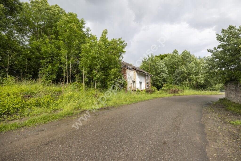 Działka na sprzedaż, warmińsko-mazurskie, Stegny - zdjęcie ofertowe nr 2