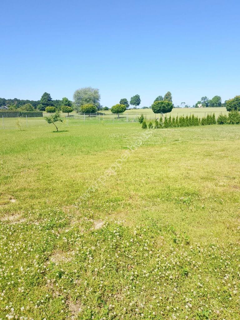 Dom na sprzedaż, pomorskie, Darżkowo - zdjęcie ofertowe nr 11