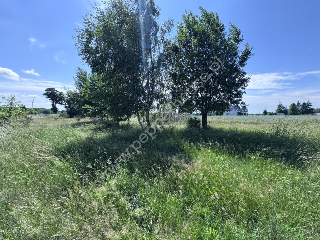 , pomorskie, Wrzeście - listing photo no. 2