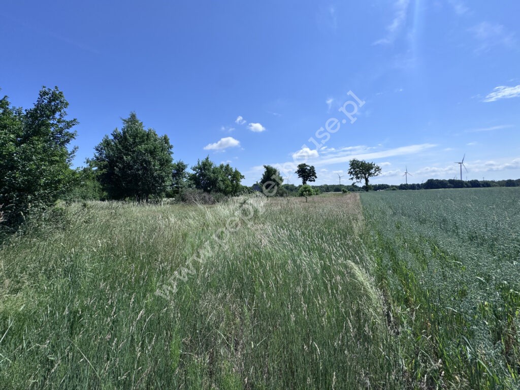 , pomorskie, Wrzeście - listing photo no. 3
