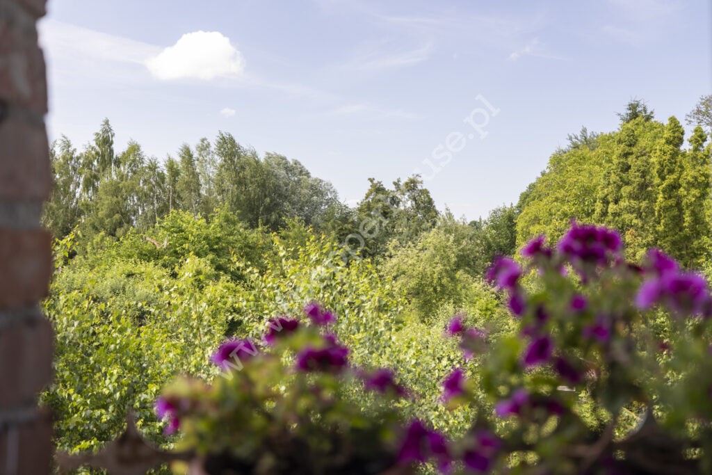 Dom na sprzedaż, pomorskie, Lasowice Małe - zdjęcie ofertowe nr 13
