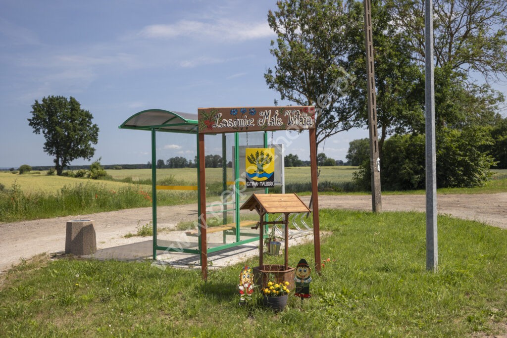 Dom na sprzedaż, pomorskie, Lasowice Małe - zdjęcie ofertowe nr 14