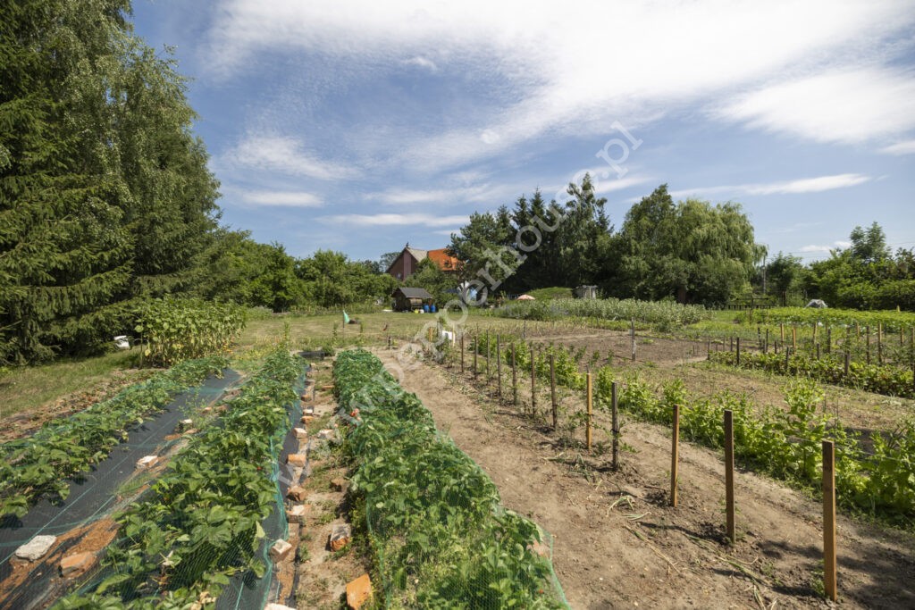 Dom na sprzedaż, pomorskie, Lasowice Małe - zdjęcie ofertowe nr 23