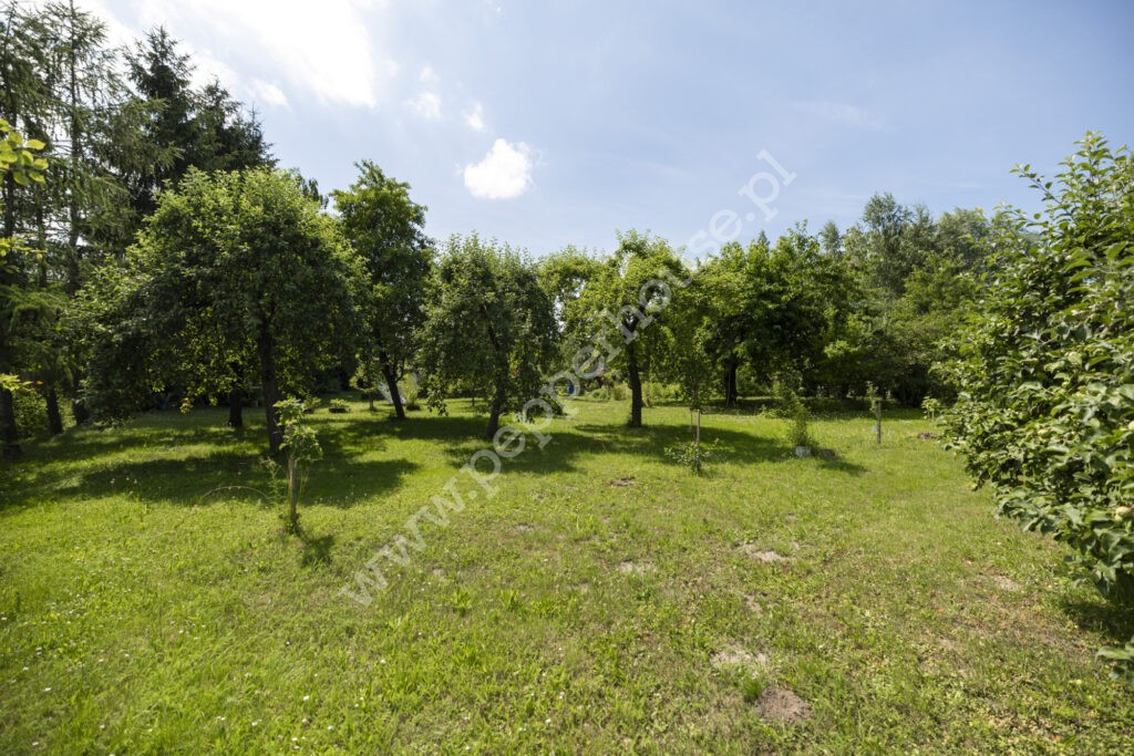 Dom na sprzedaż, pomorskie, Lasowice Małe - zdjęcie ofertowe nr 27