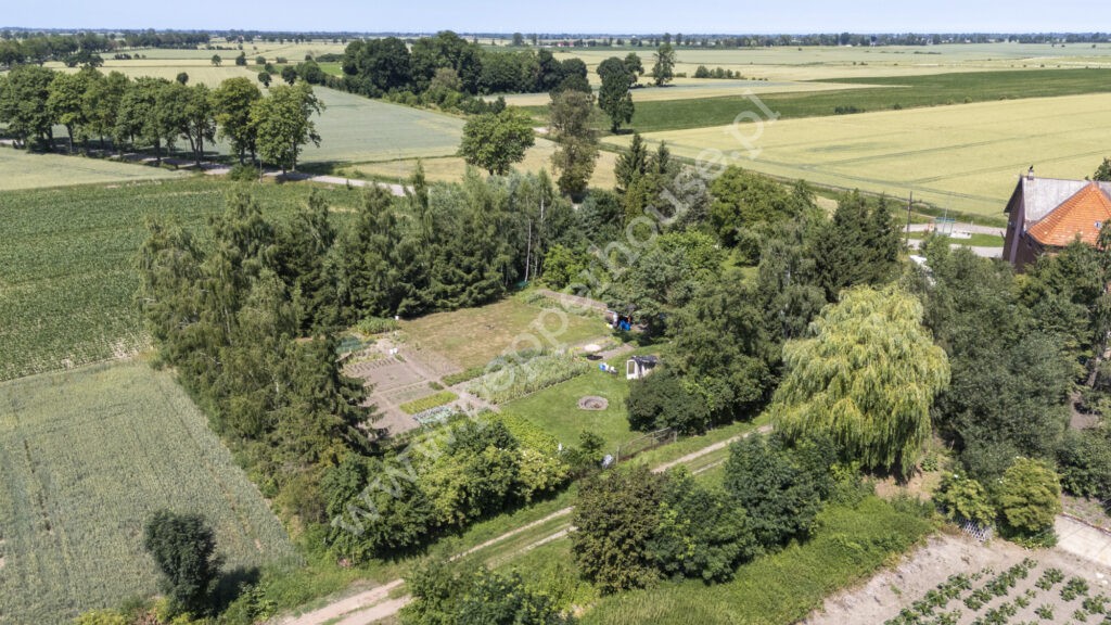 Dom na sprzedaż, pomorskie, Lasowice Małe - zdjęcie ofertowe nr 39